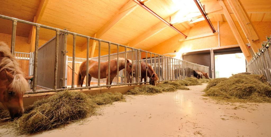 Bodenhof Ferienwohnungen フィーバーブルン エクステリア 写真